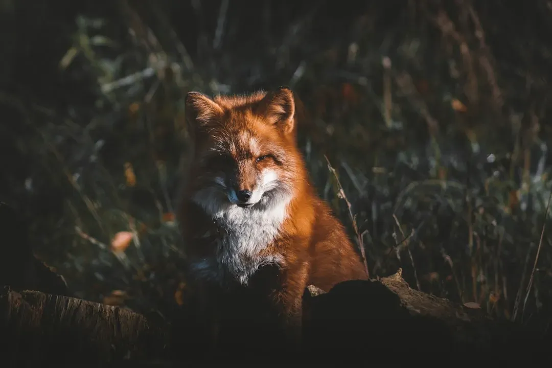 1. Familiar paths mean fewer dangerous surprises (Image Credits: Unsplash)