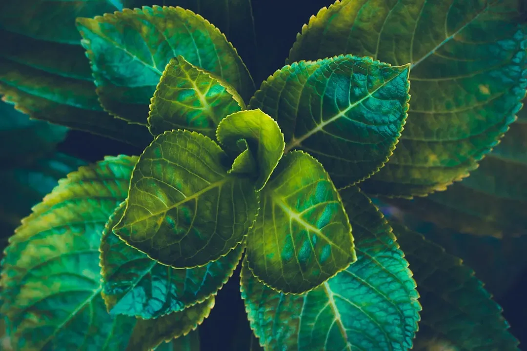 The Future of Plant Memory Research (Image Credits: Unsplash)