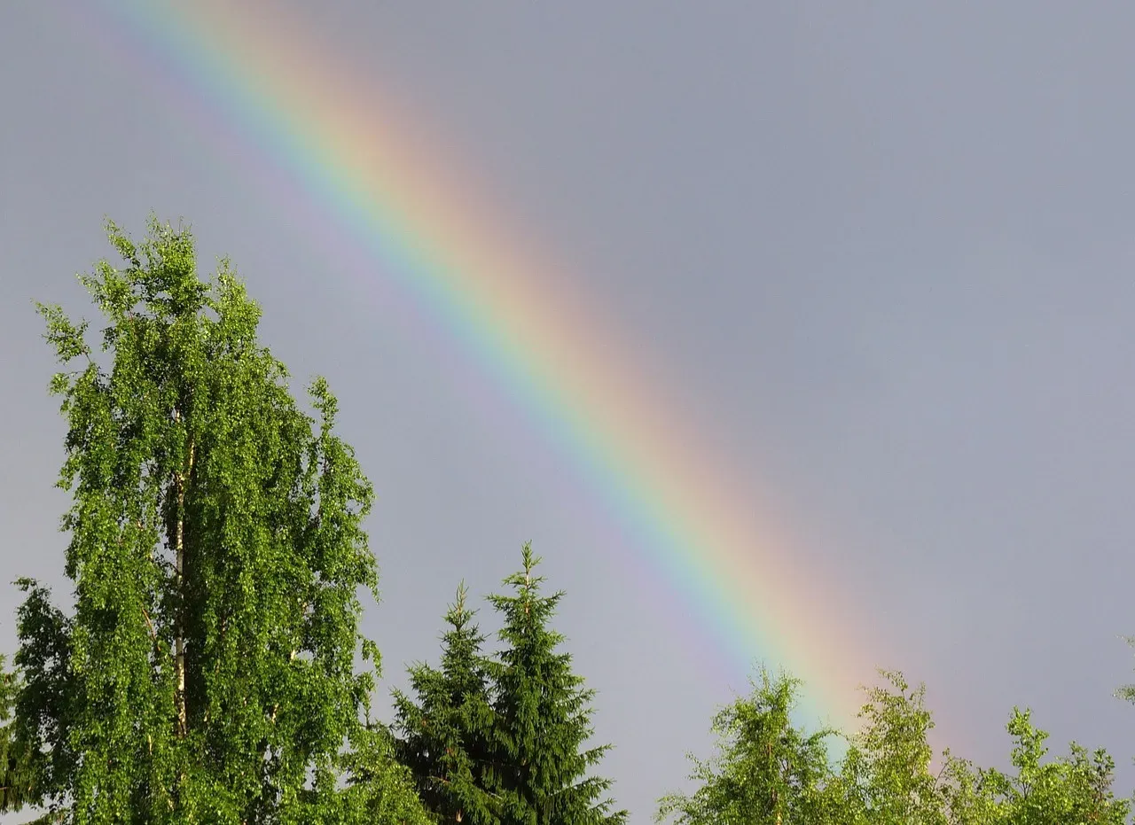 Exiting the Droplet: The Magic Angles That Make the Arc (Image Credits: Pixabay)