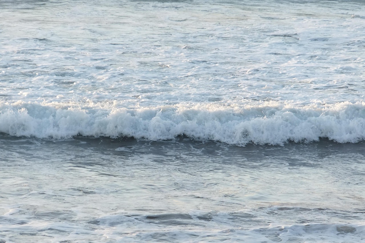 Gemini (May 21 - June 20): The North Pacific Current's Versatile Dance (Image Credits: Pixabay)