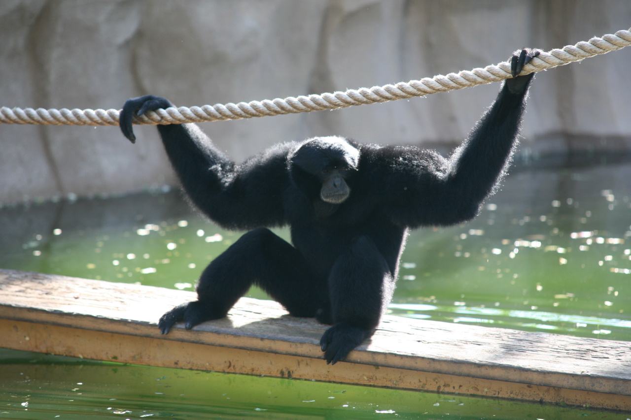 The Hidden Clues (Image Credits: Wikimedia)