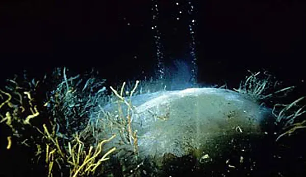 1. Giant Methane Hydrate Mounds That Should Have Dissolved (By Unknown authorUnknown author, Public domain)