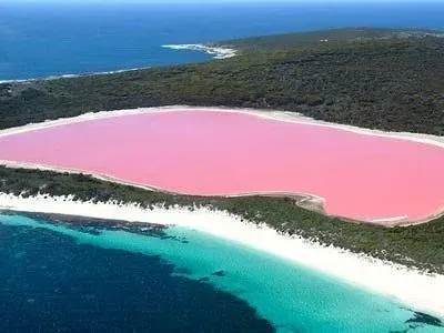 Lake Hillier, Australia – The Bubblegum-Pink Microbial Lab (Cben.art, Flickr, CC BY 2.0)