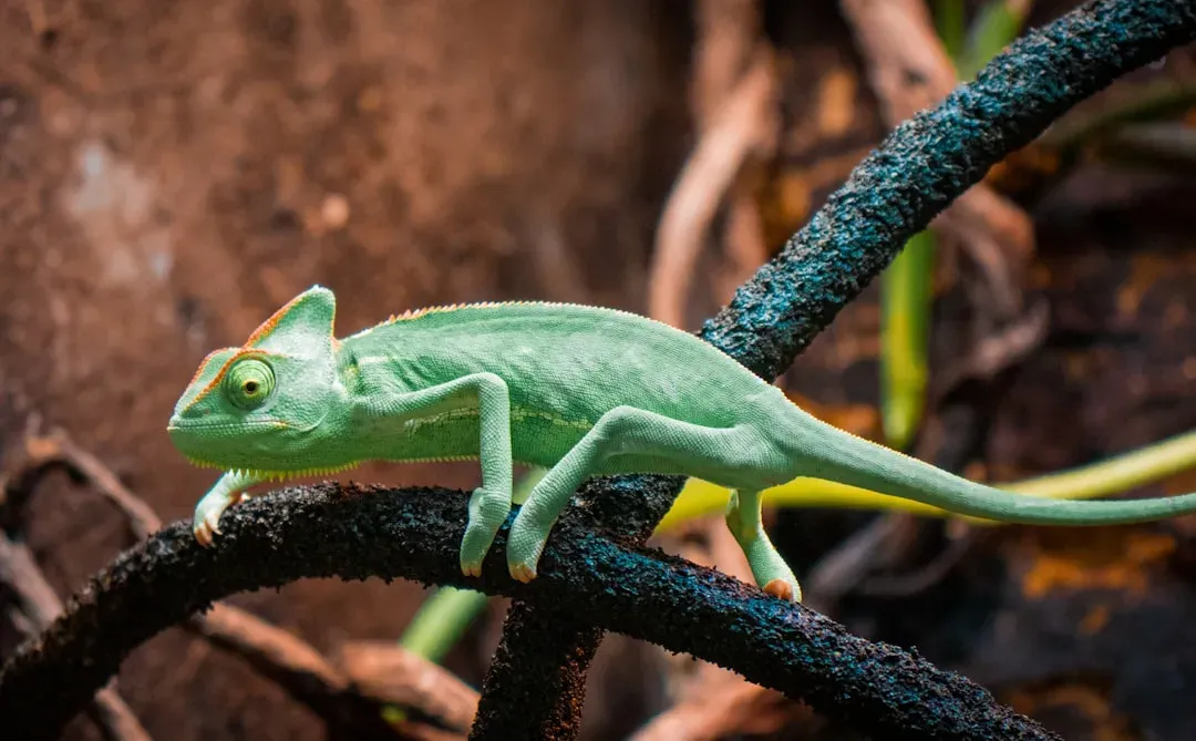 6. Their Bones Glow Under Ultraviolet Light (Image Credits: Unsplash)