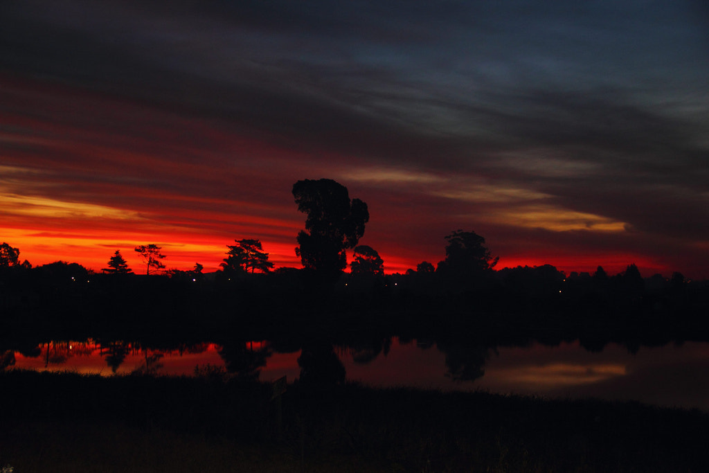 The Hidden Clues (Image Credits: Wikimedia)