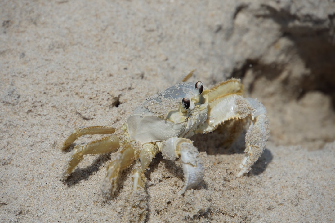 Conclusion (Image Credits: Unsplash)