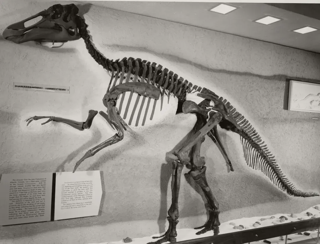 #13 - Hadrosaur "Duck-Billed Dinosaurs" With Totally Invented Soft Tissues (Image Credits: Unsplash)