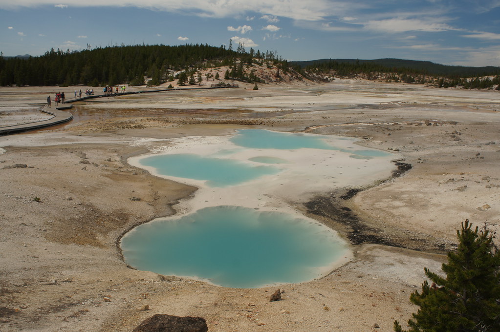 Norris Geyser Basin: The Chemical Chameleon (Image Credits: Flickr)