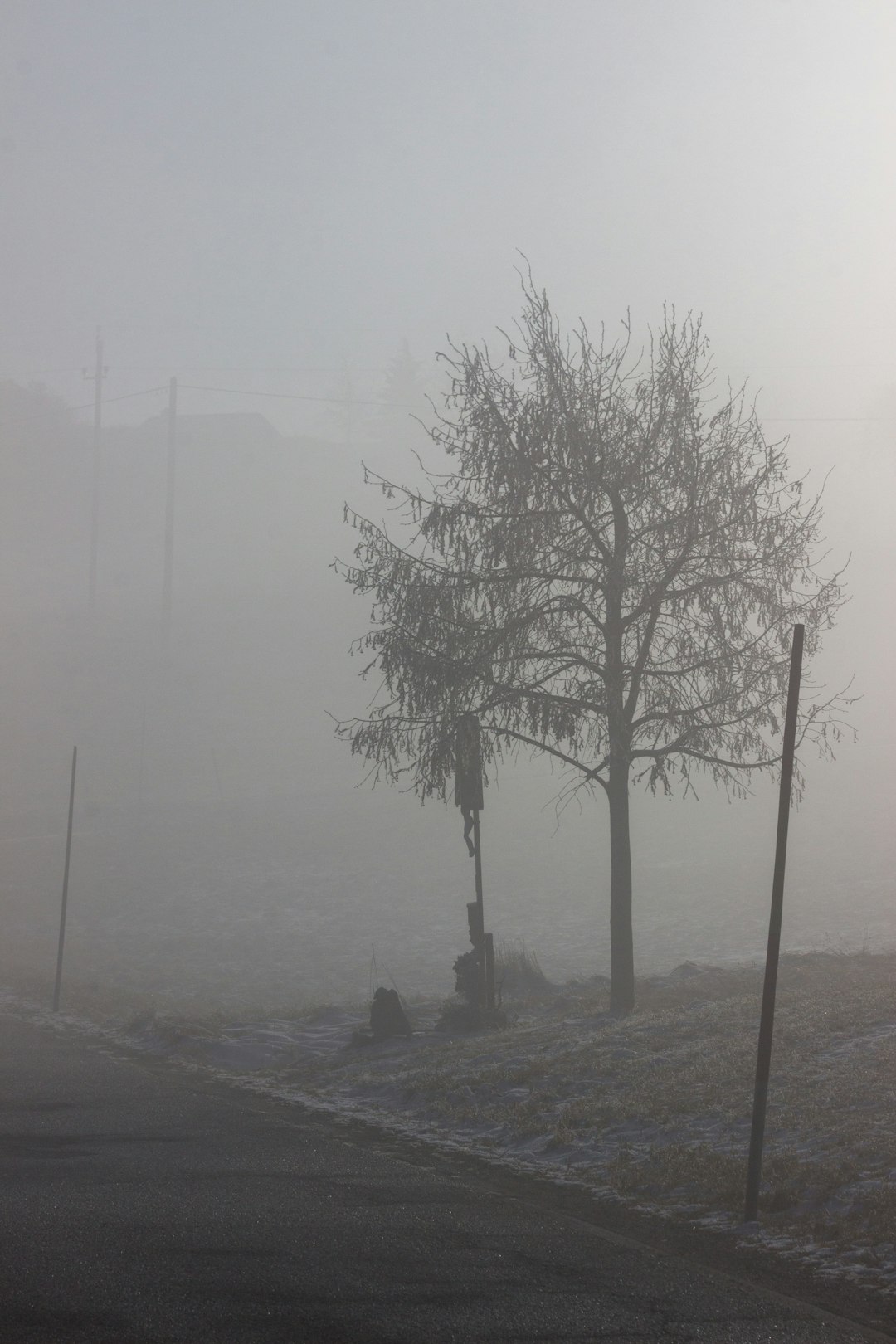 The Human Footprint: Vog, Farms, and Health (Image Credits: Unsplash)