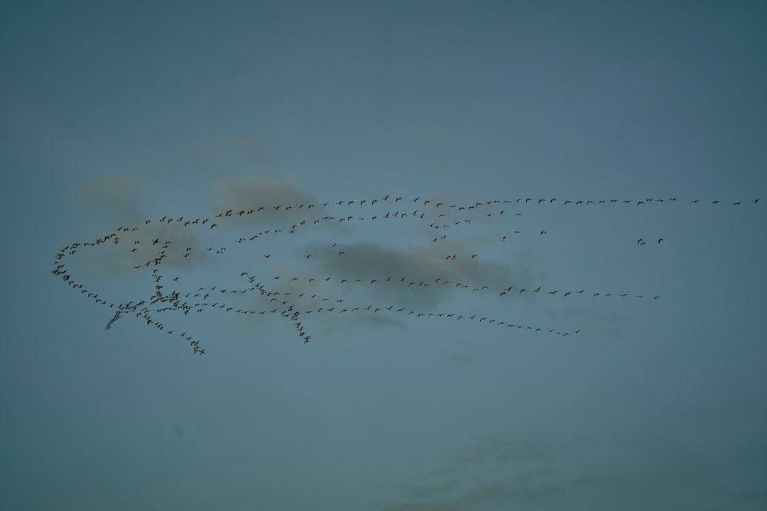 Toxins, Disease, and Human Footprints (Image Credits: Unsplash)