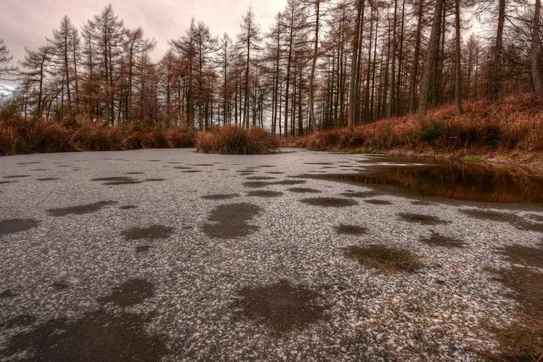 7. Ponds, Lakes, and Soil Start Their Winter Lockdown (Image Credits: Unsplash)