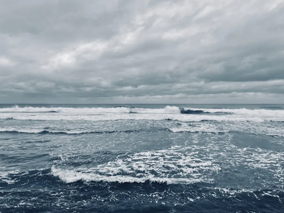 Looking Forward With Caution and Hope (Image Credits: Unsplash)