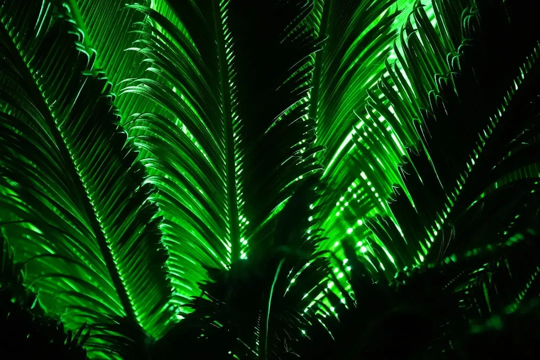 3. Electrical Signals: Plants Wired Like a Brain (Image Credits: Unsplash)