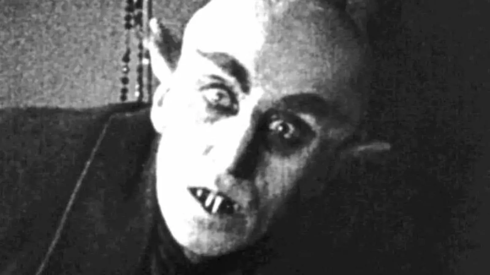 3. Vampires, Werewolves, and Misunderstood Diseases (Image Credits: Wikimedia)
