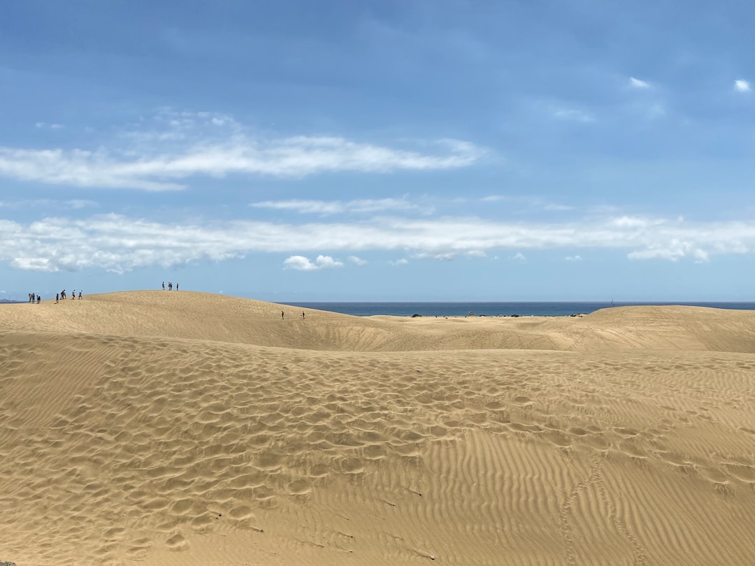 The Hidden Clues (Image Credits: Unsplash)