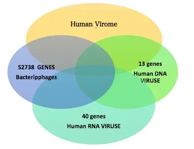 You Also Carry a Virome, and Almost Nobody Talks About It (Image Credits: Wikimedia)