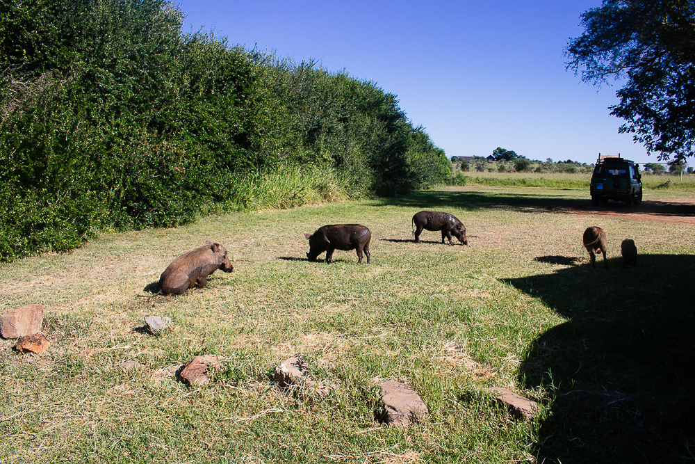 People and Tradeoffs (Image Credits: Wikimedia)