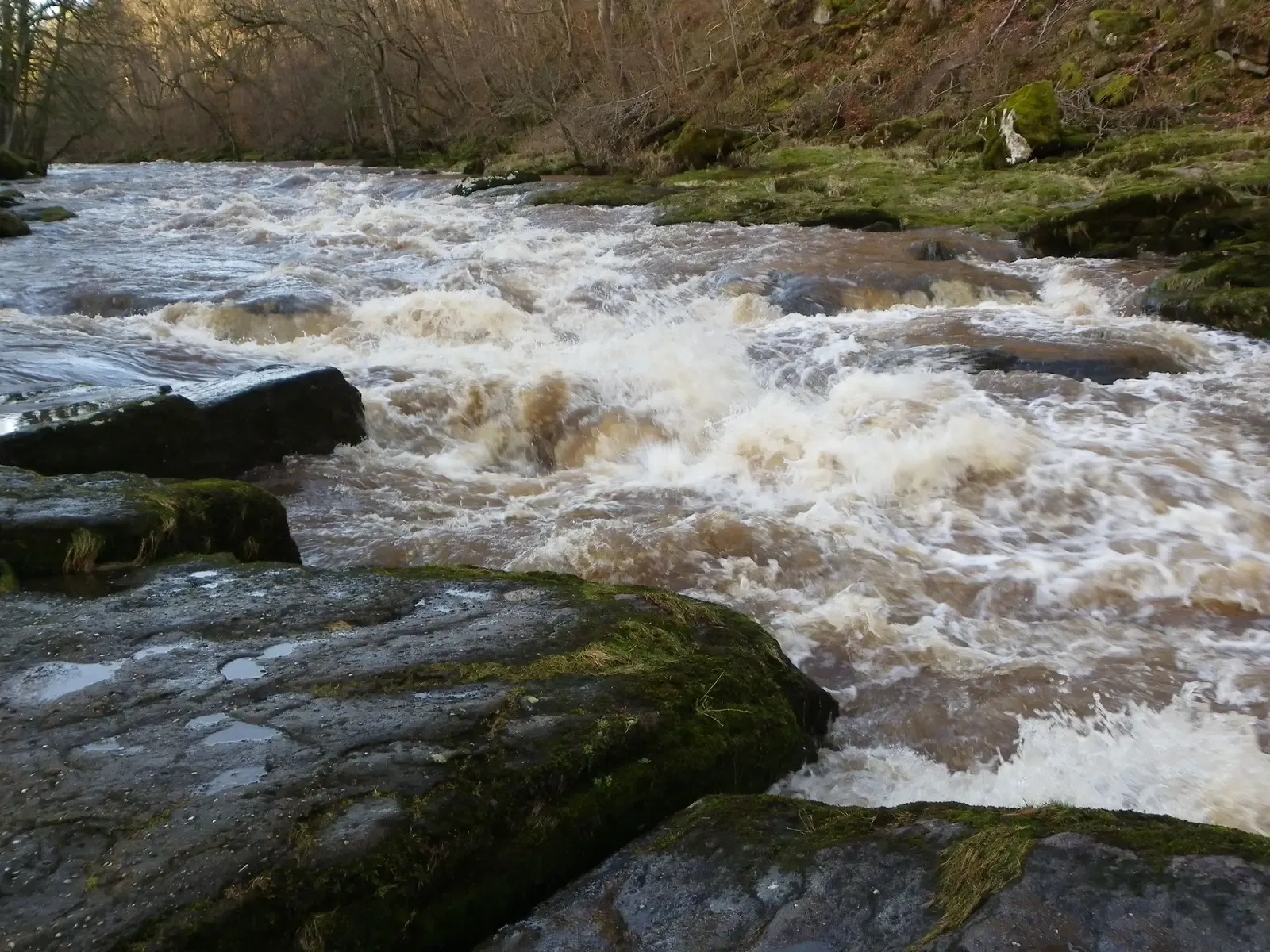 Conclusion (Image Credits: Wikimedia)