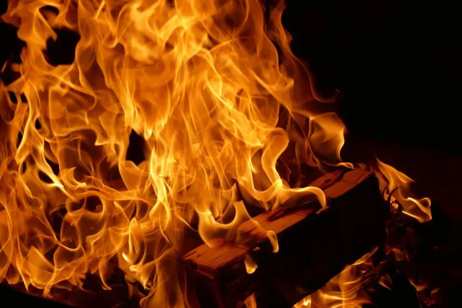 Myths, Fires, and Blame: How the Library Really Disappeared (Image Credits: Pexels)
