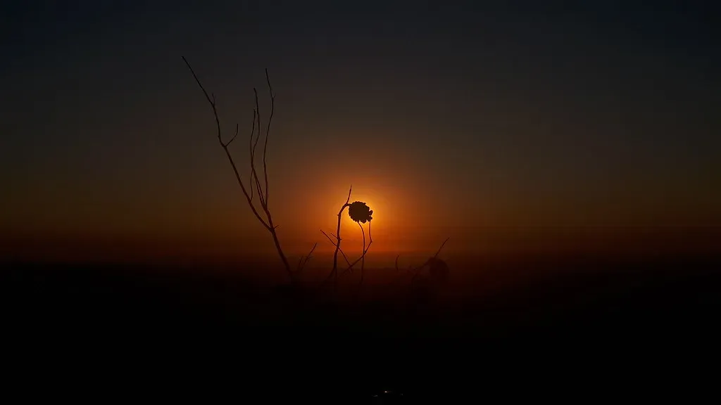 Earthquake Lights: Glowing Warnings from Below (Image Credits: Flickr)