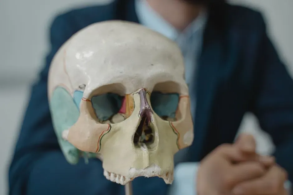 #14 - Teaching Skulls That Lose Their Names (Image Credits: Pexels)