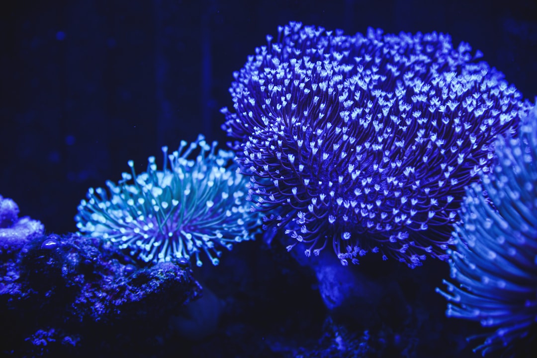 The Caffeic Acid Cycle: Nature's Light Factory (Image Credits: Unsplash)