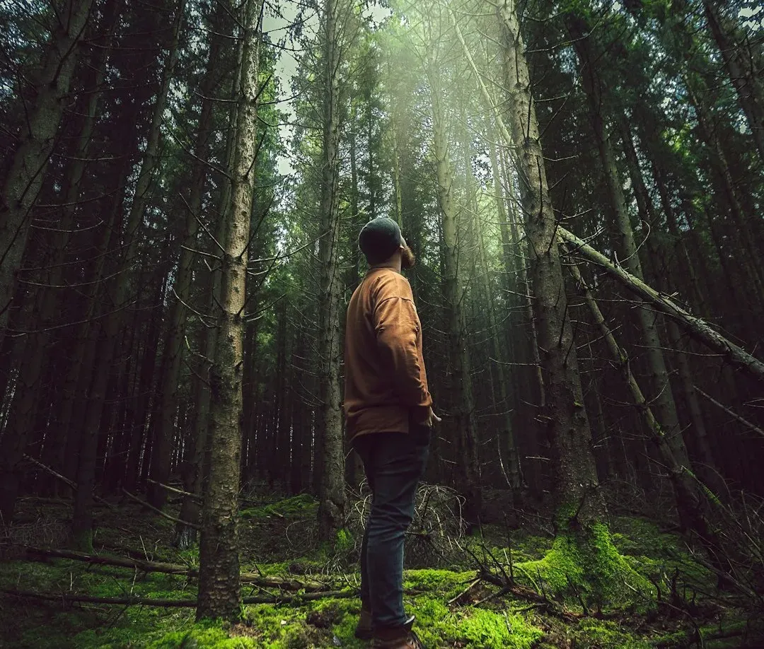 1. The Overall “Sound Map” Before You Take Another Step (Image Credits: Unsplash)