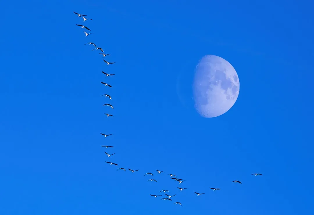 Conclusion: Listening to the Quiet Pull of the Moon (Image Credits: Unsplash)