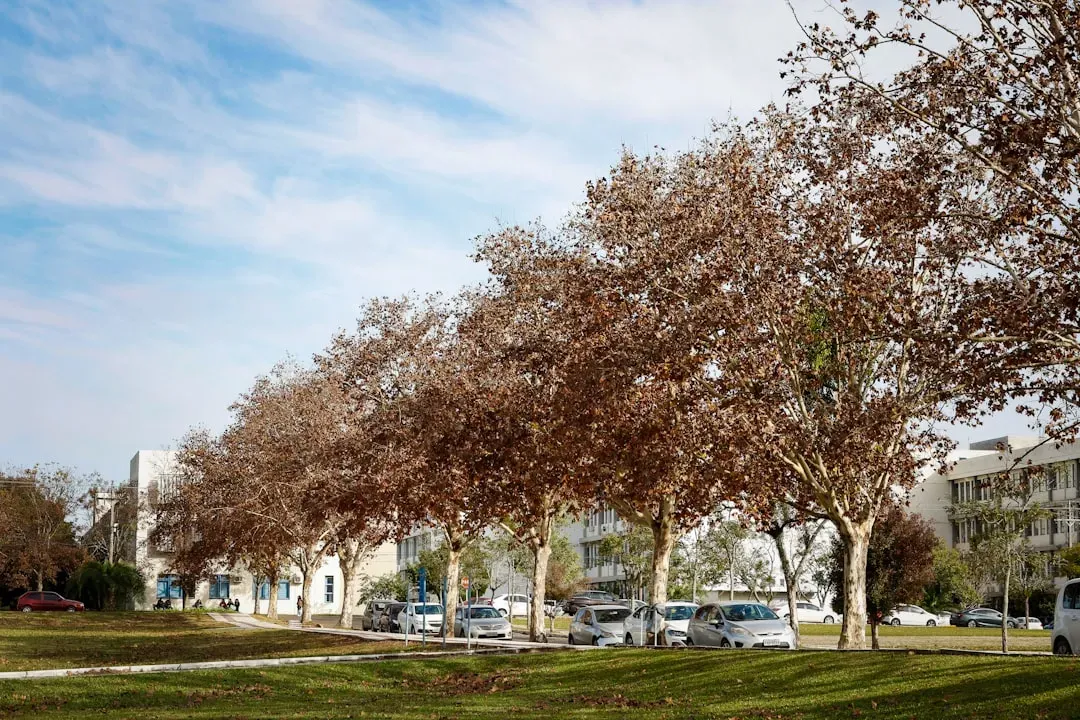 12. Stress Signals in Drought and Crowded Cities (Image Credits: Unsplash)