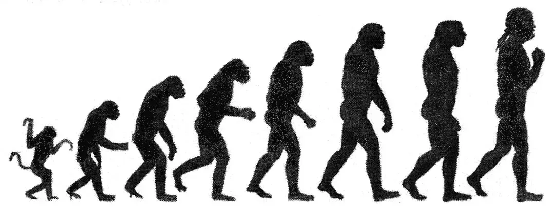The "March of Progress" Ladder Is Officially Retired (A very similar image is used here [1] on page 8., Public domain)