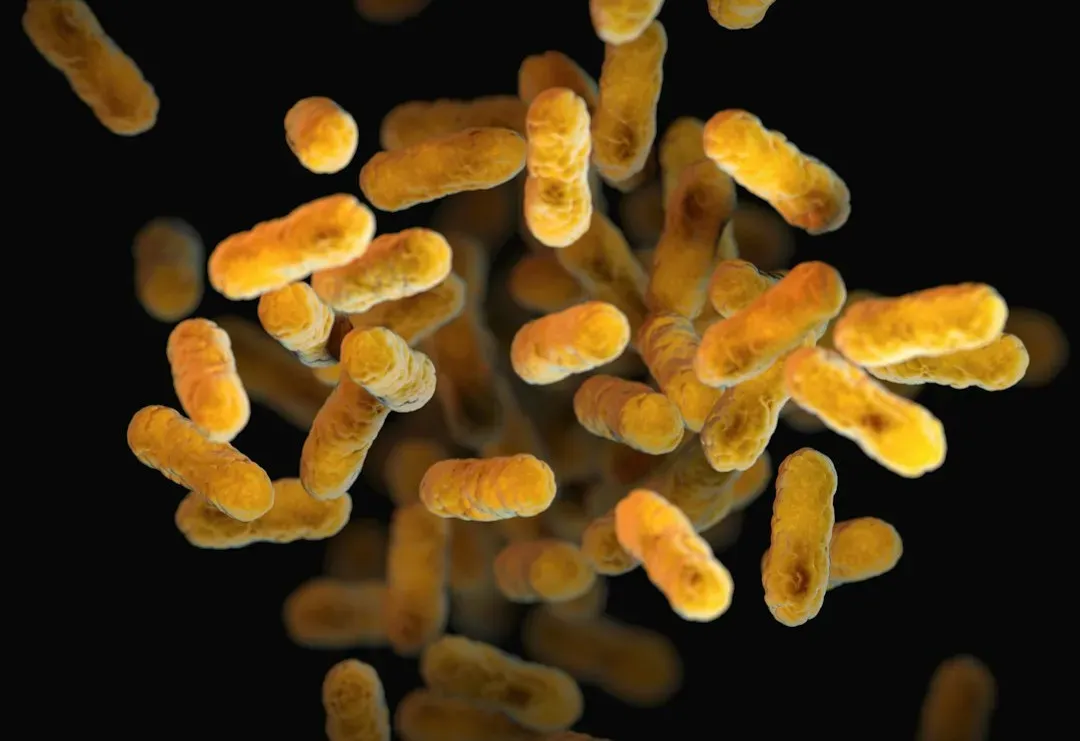 Food as Fuel for Your Microbial World (Image Credits: Unsplash)