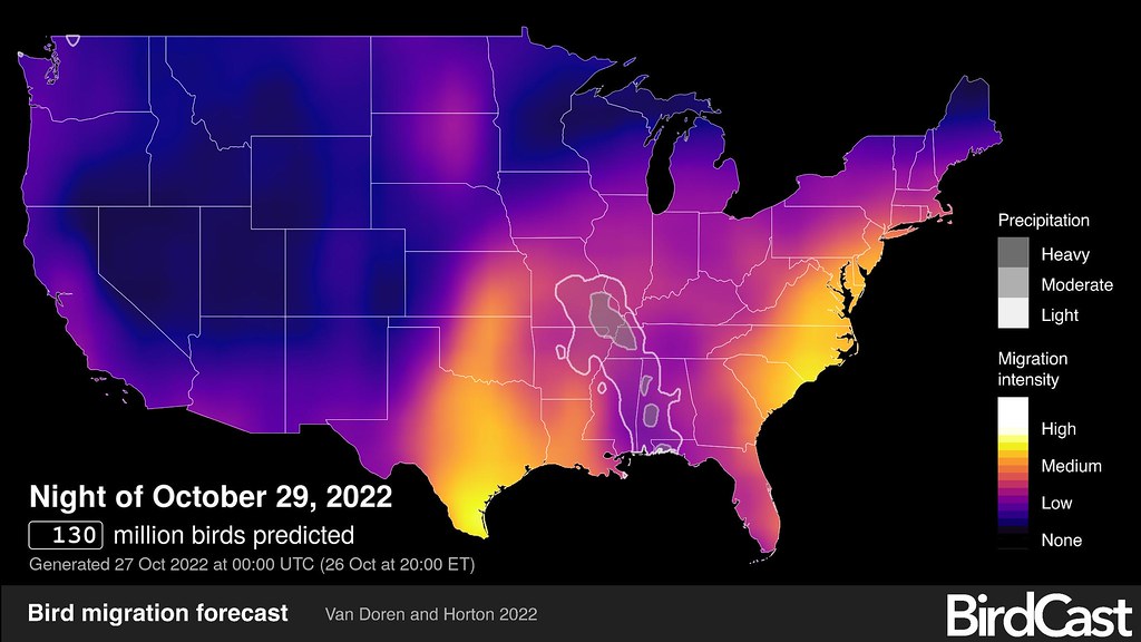 Real-Time Monitoring Reveals Urgent Trends (Image Credits: Flickr)