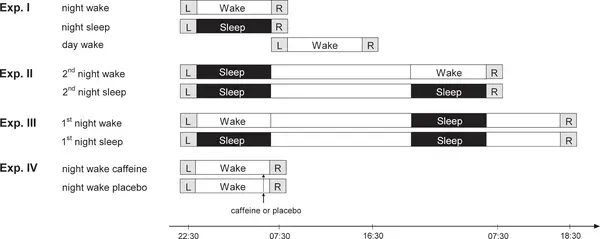 The Memories We Swear By: When Recall Becomes a Retroactive Illusion (Image Credits: Wikimedia)