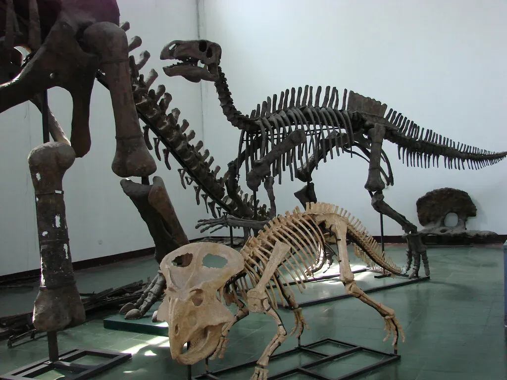 How This Changes the Way You See Dinosaurs Today (watchsmart, Flickr, CC BY 2.0)