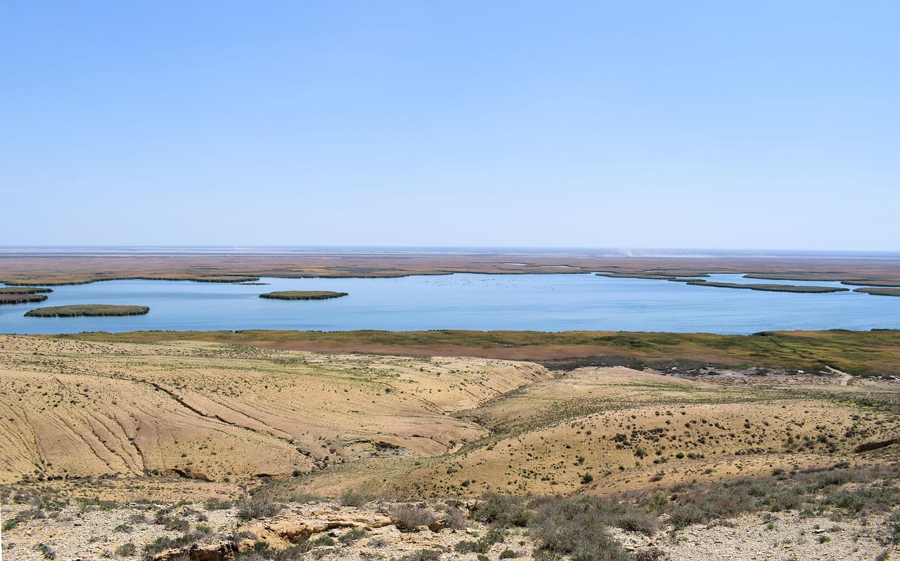Desert Wetlands Hold Climate Secrets (Image Credits: Pixabay)