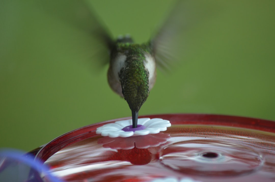 From Ancient Tools to Modern Science: Evaporative Cooling Without Sweat (Image Credits: Unsplash)