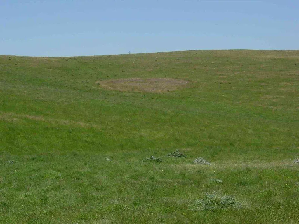 9. Earth Rings in Australia and Histories That Outrun the Records (By Garyvines, CC BY 3.0)