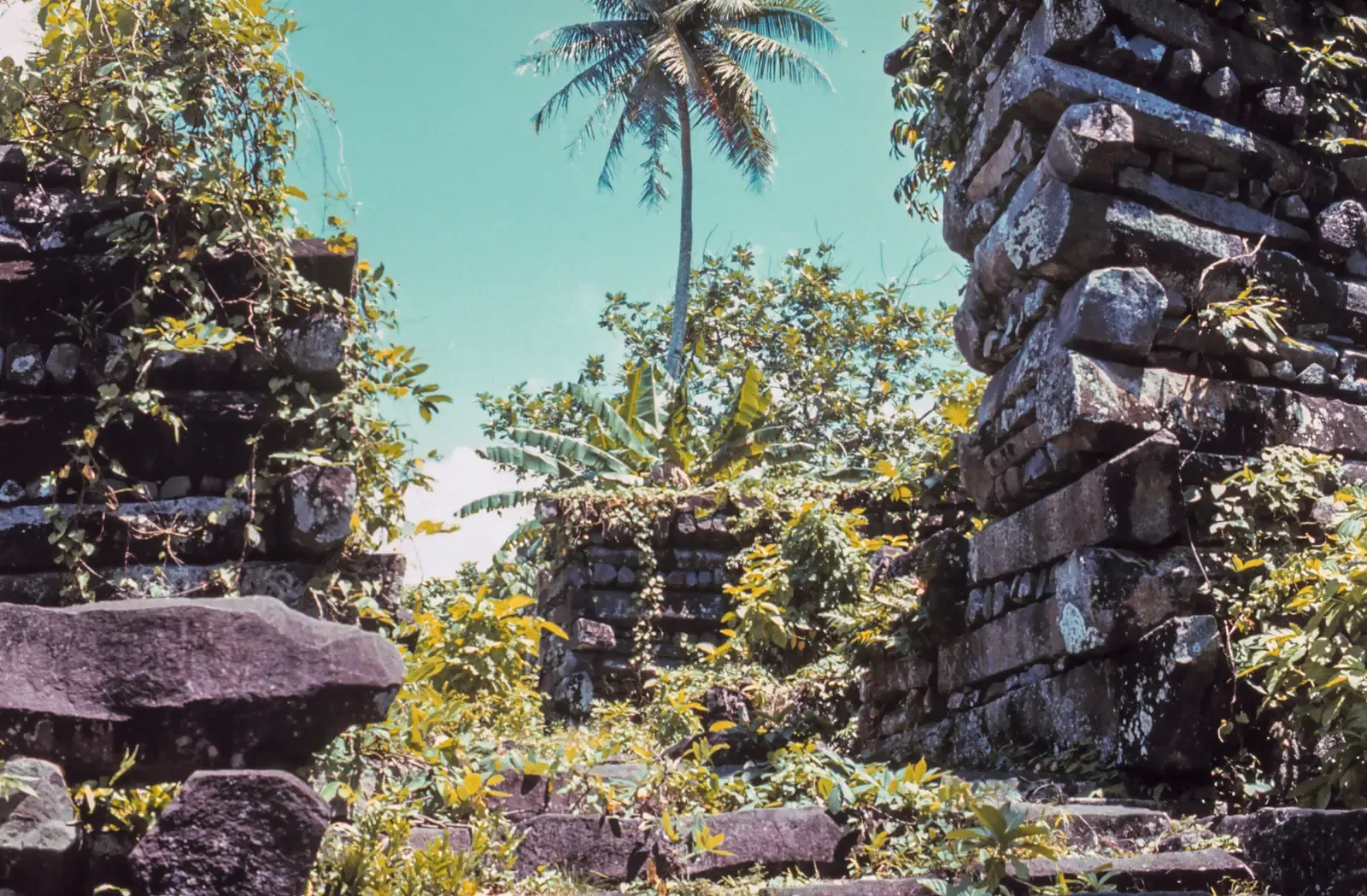 Nan Madol, Micronesia: A Coral and Basalt City on the Sea (Image Credits: Wikimedia)