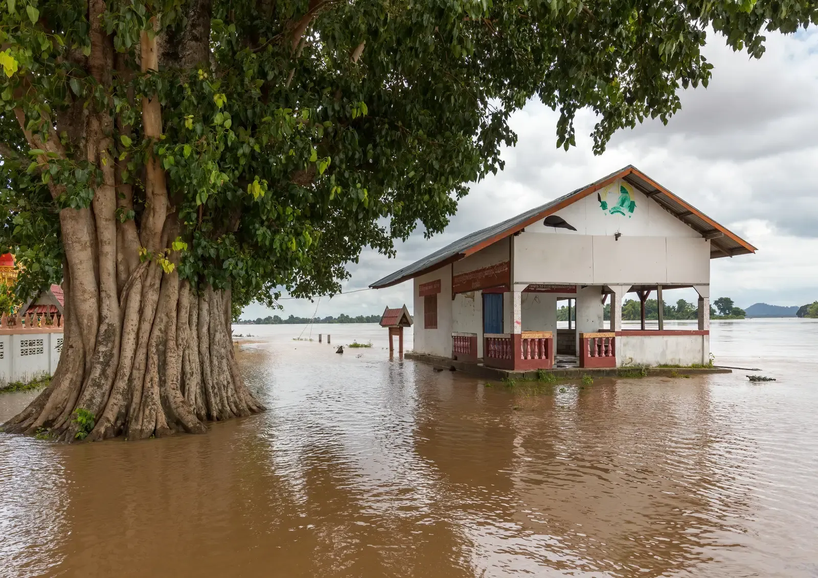 The Unusual Quiet That Sparked New Research (Image Credits: Wikimedia)