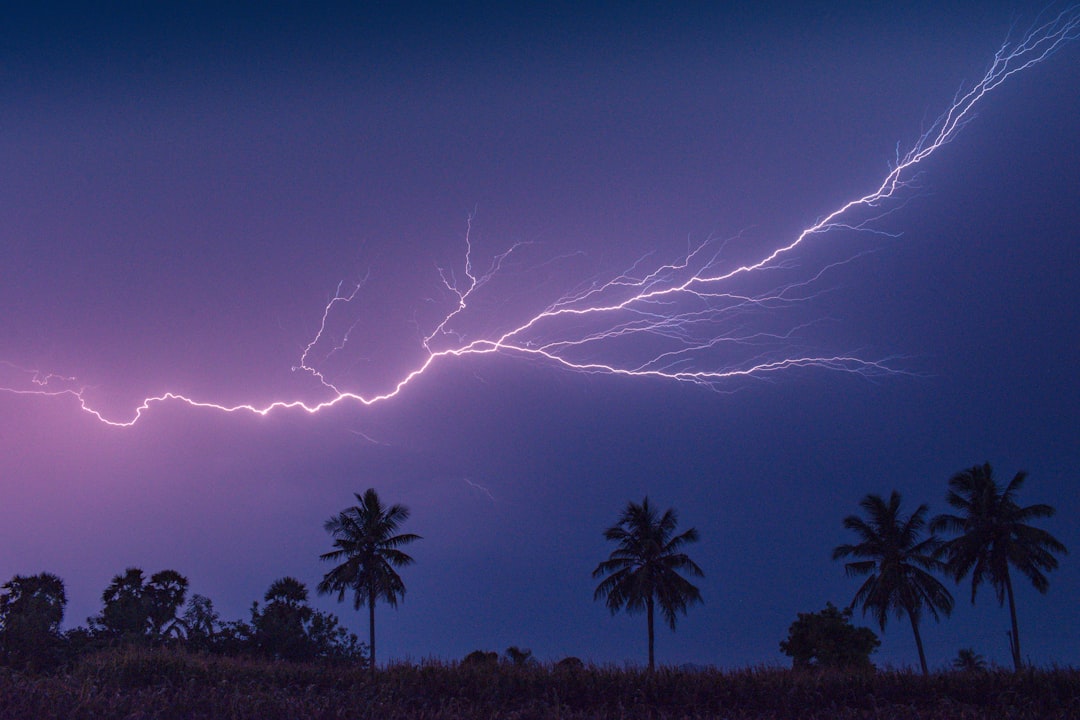 The Hidden Clues (Image Credits: Unsplash)