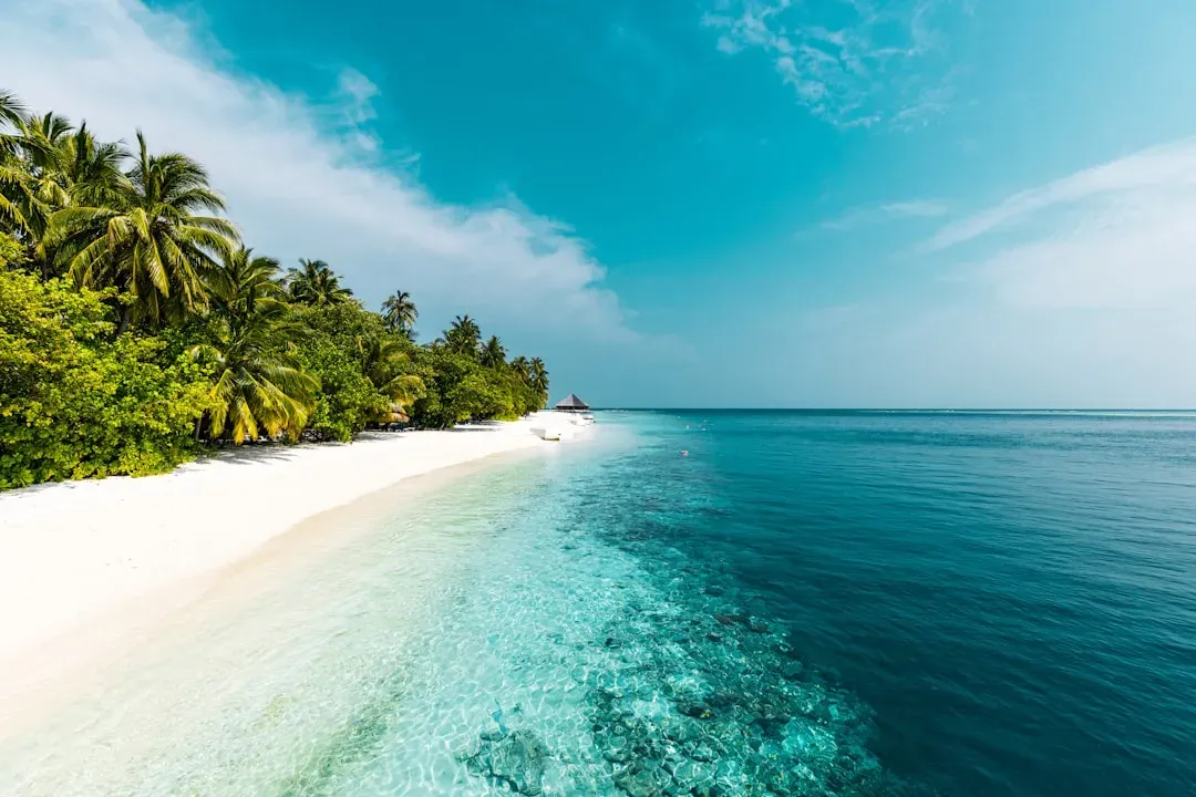 What This Deep Past Tells You About Climate and Change (Image Credits: Unsplash)
