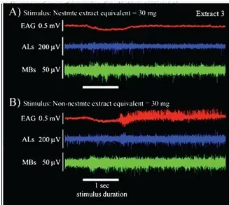 Seconds 15–60: Brain Activity Without Awareness (G O López-Riquelme, C I Guzmán-González, K Mendoza-Ángeles, F Ramón. (2010). Brain and Antennal Electrical Activity in Response to Odors from Nestmates and Non-nestmates in the ant Camponotus atriceps.  In proceeding of: Society for Neuroscience 40th Annual Meeting, 2010., CC BY-SA 3.0)