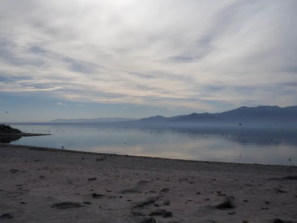 What the Salton Sea Means for You and the Future of Drying Lakes (calamity_sal, Flickr, CC BY 2.0)