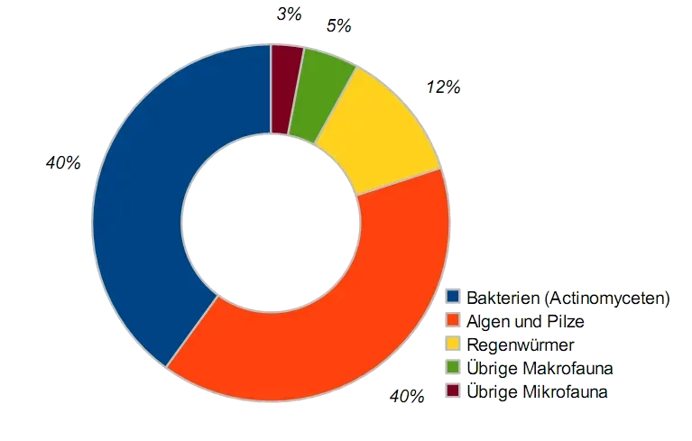 Microbes as Planet Engineers (Image Credits: Wikimedia)
