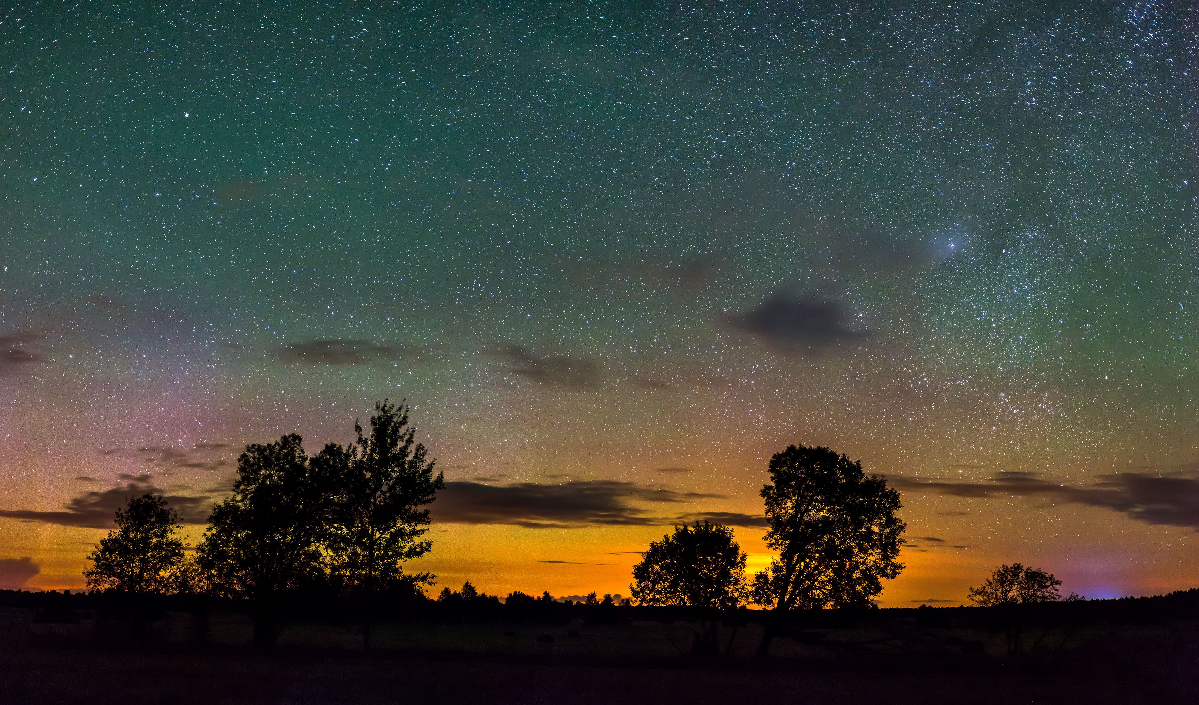 How to Join In: A Simple Call to Action (Image Credits: Wikimedia)