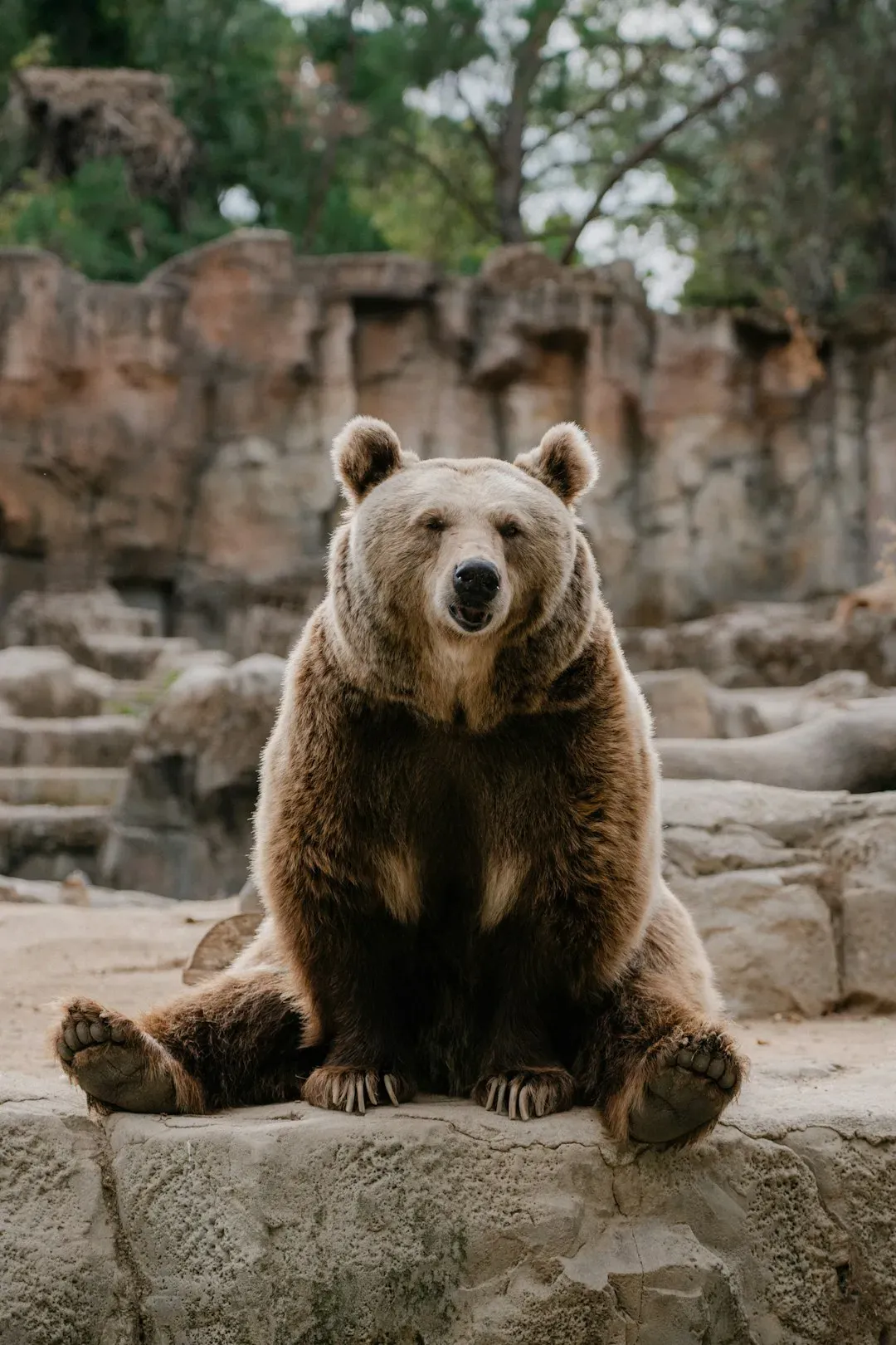 Call to Action: How Readers Can Engage (Image Credits: Unsplash)