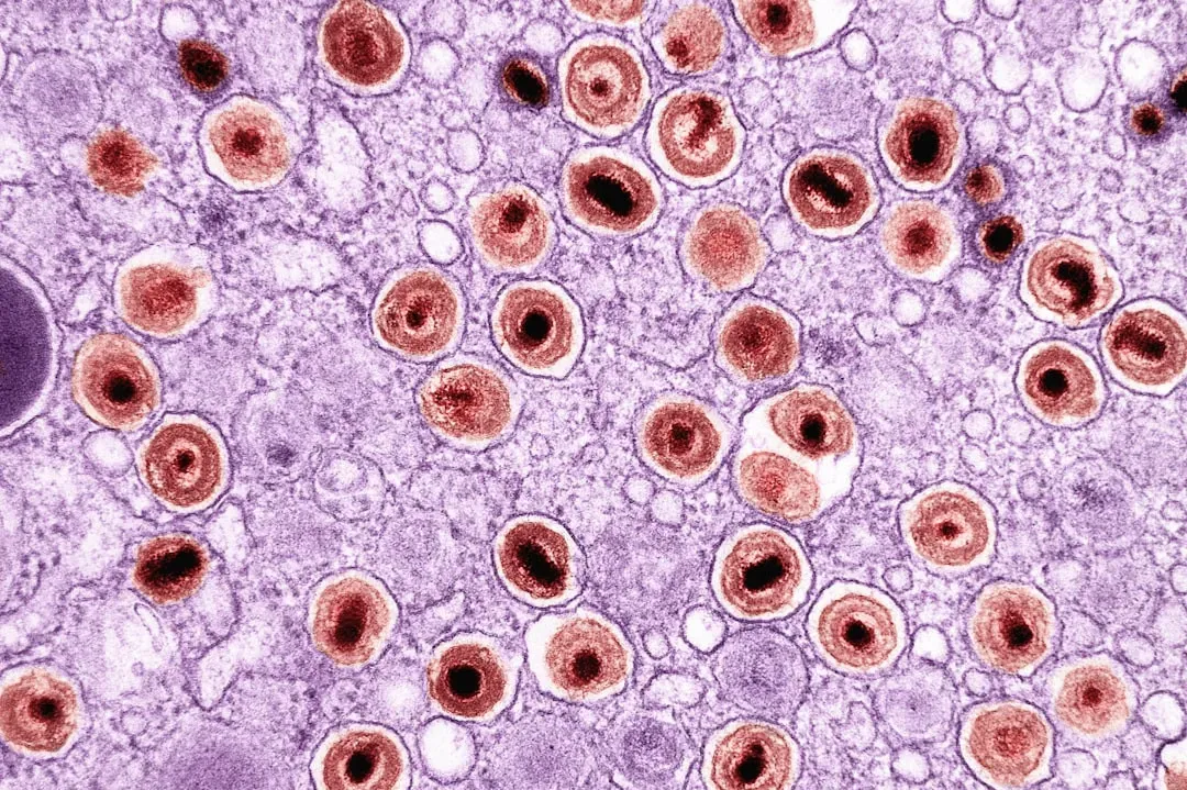 Your Body Rebuilds Itself Almost Completely (Image Credits: Unsplash)