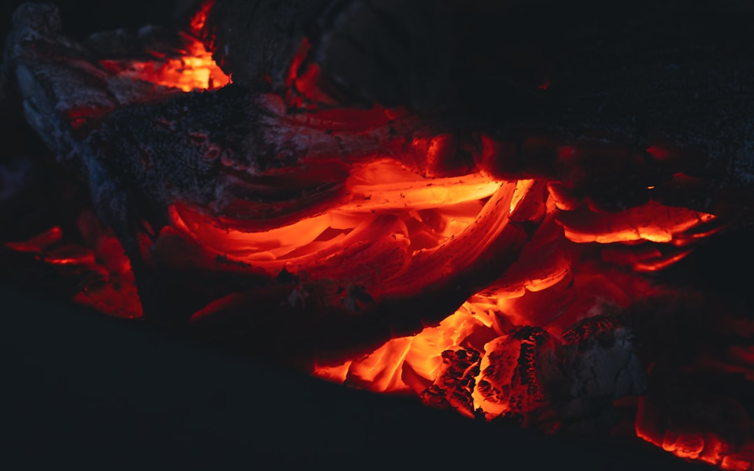 The Hidden Clues (Image Credits: Unsplash)