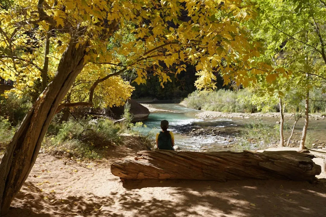 Constant Connectivity vs. Solitude: The Social Brain Needs Quiet Too (Image Credits: Unsplash)