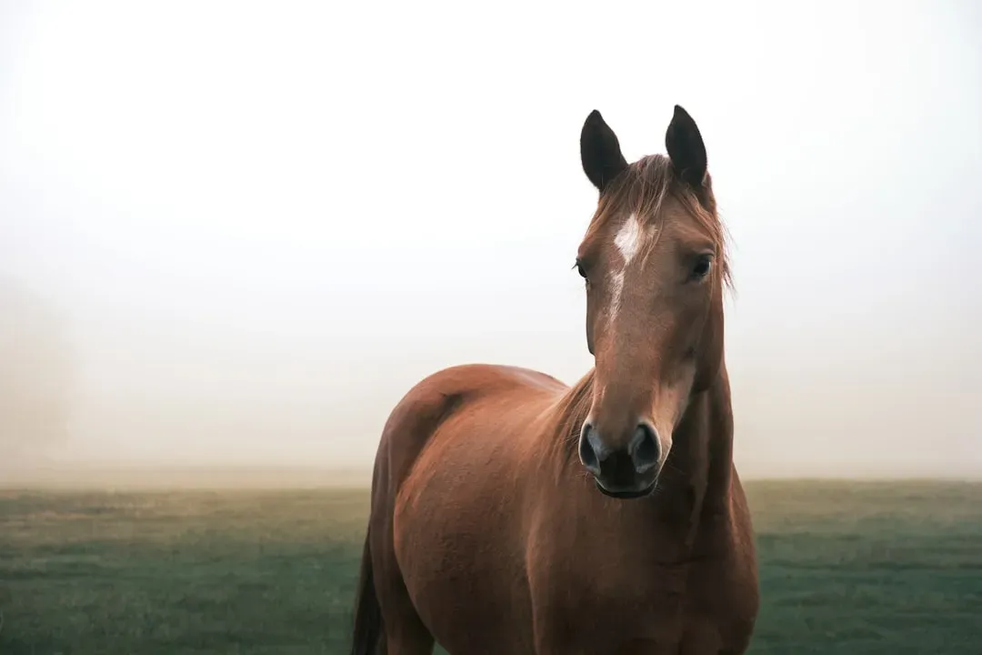 17. Isolation or Being Bullied in the Herd (Image Credits: Unsplash)